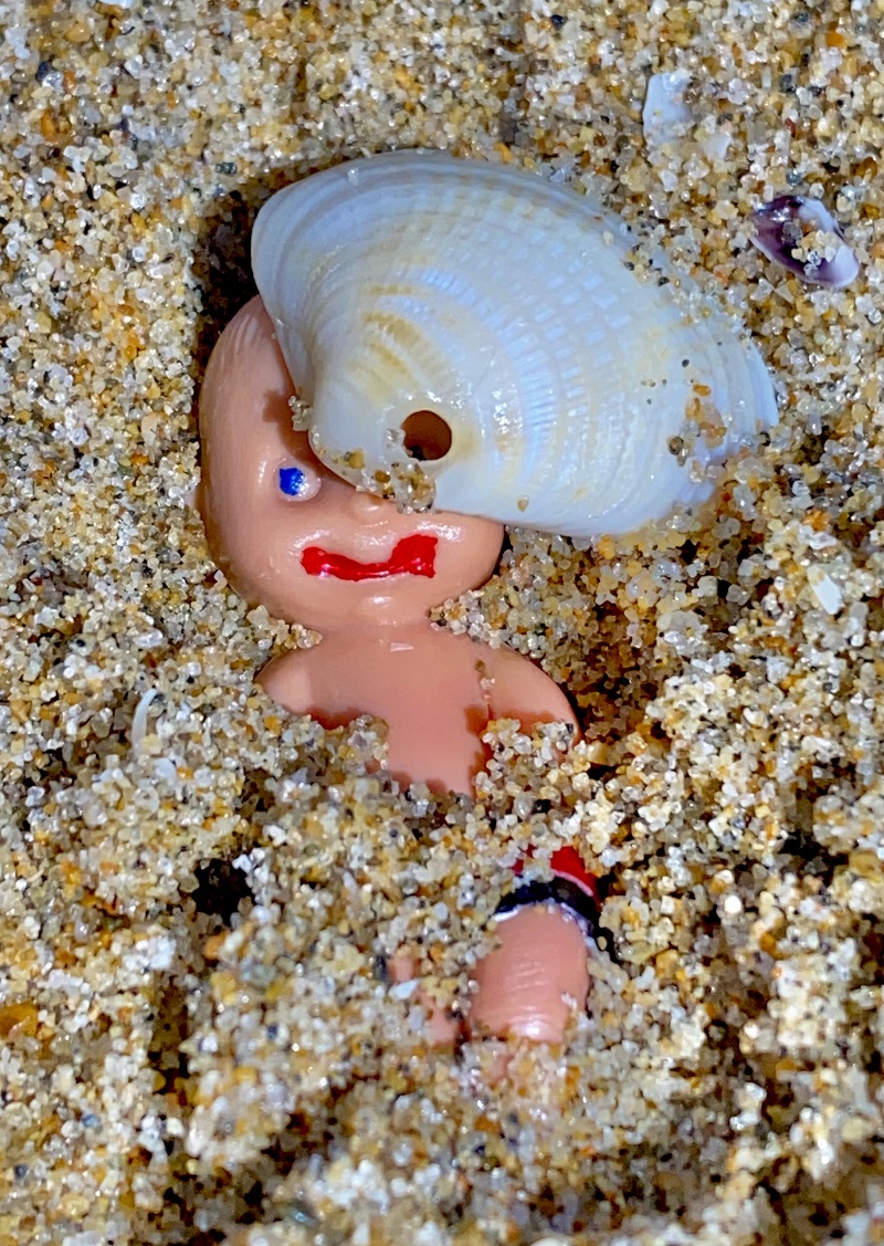 Brutus Baby and the Seashells 31